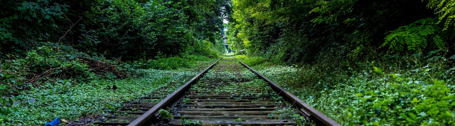 nature-forest-industry-rails---Copie.jpg